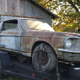 All Images: Zach Taylor via MustangFanClub